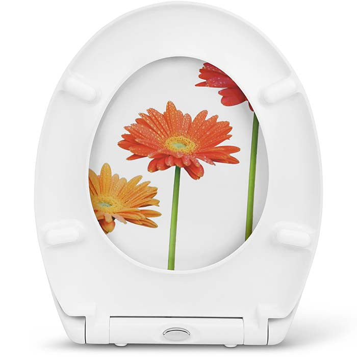 Thermoset Toilet Seat with Soft-Close "Flower Step"