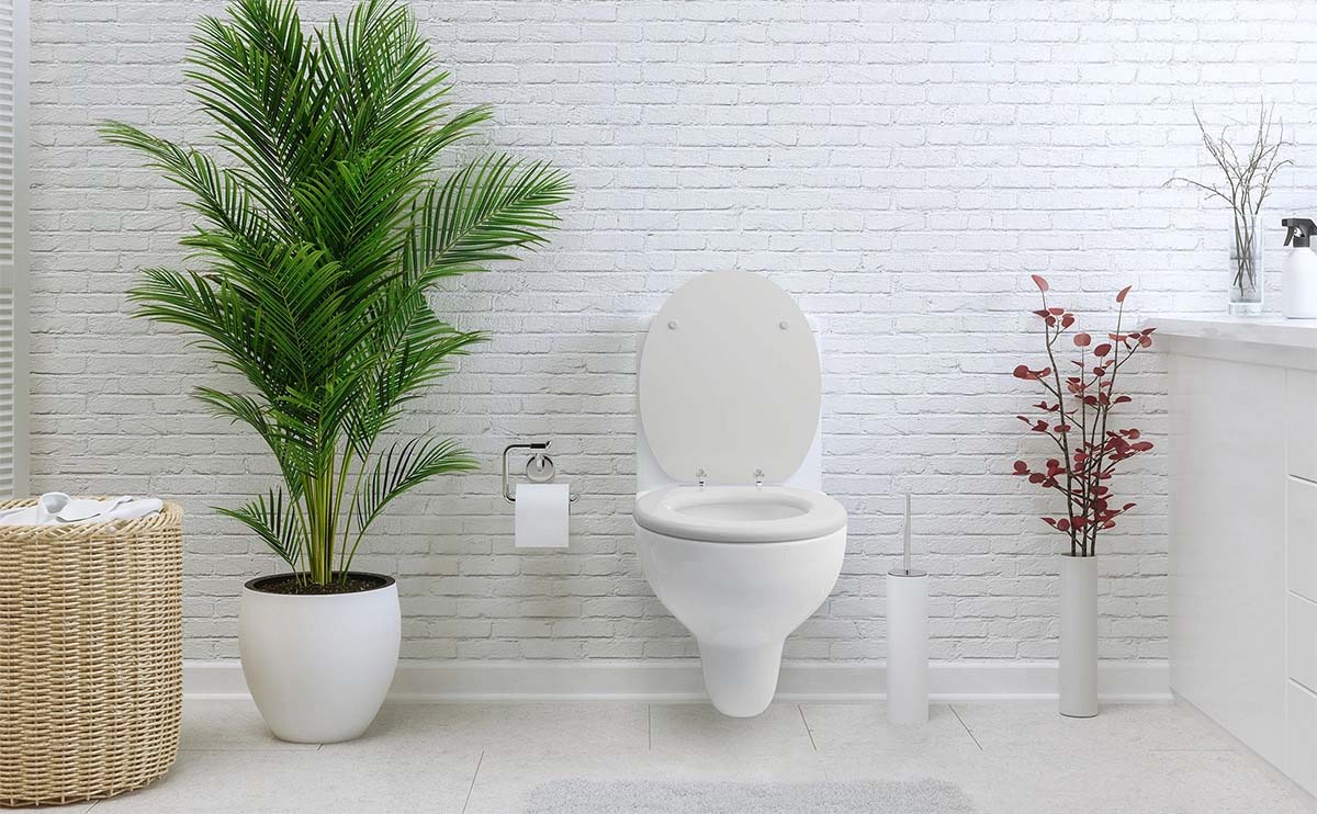 Weißer Toilettensitz aus Holz von der Marke Sanfino in einem modernen Badezimmer