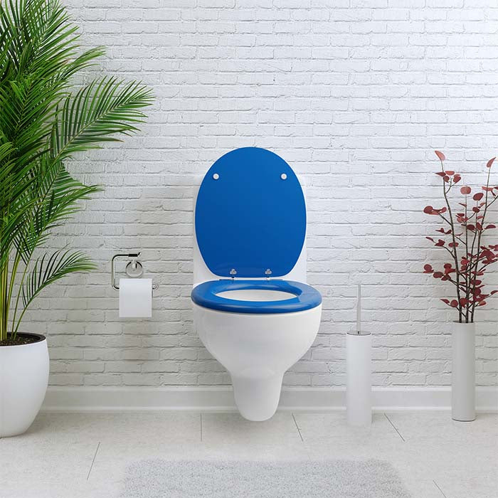 Holz Klobrille mit Absenkautomatik & Blaues Motiv in einem weißem Badezimmer
