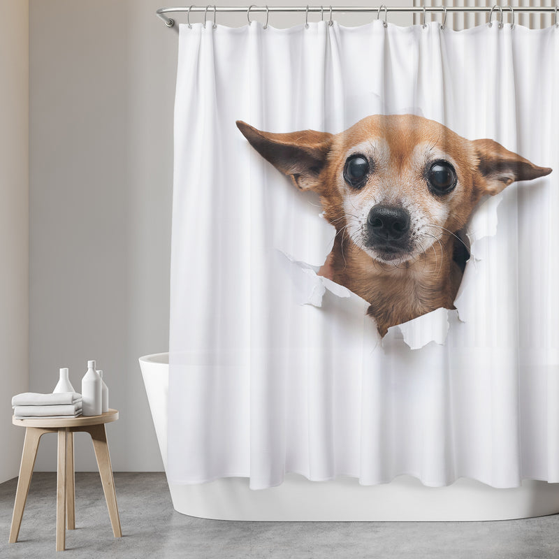Shower curtain with 